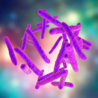 Genomic features of Mycobacterium avium subsp hominissuis isolated Genomic features of Mycobacterium avium subsp hominissuis isolated